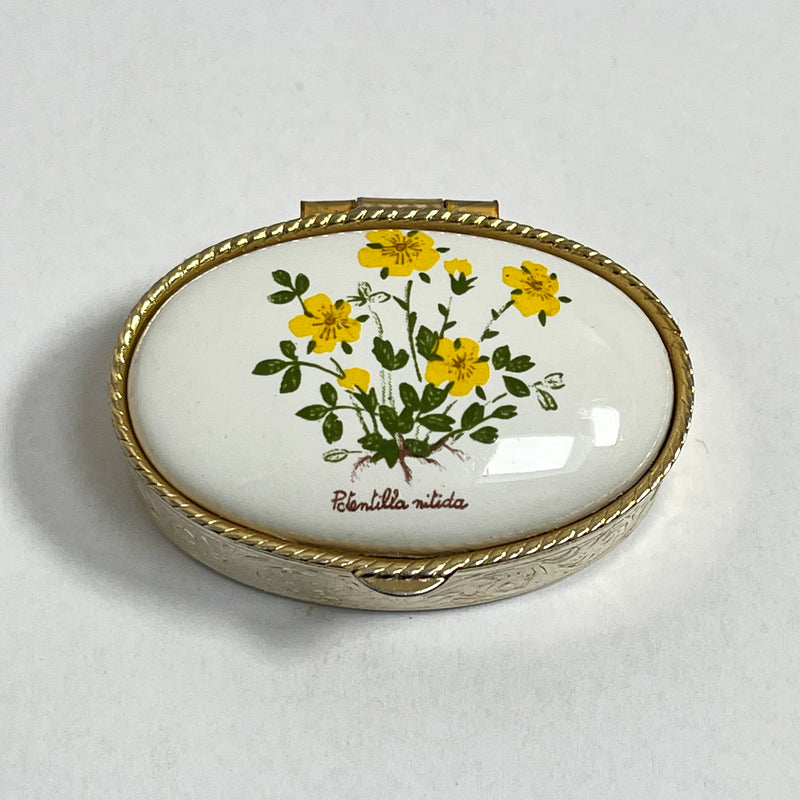 Vintage Pill Box with Lip Balm - Potentilla - Andrea Garland