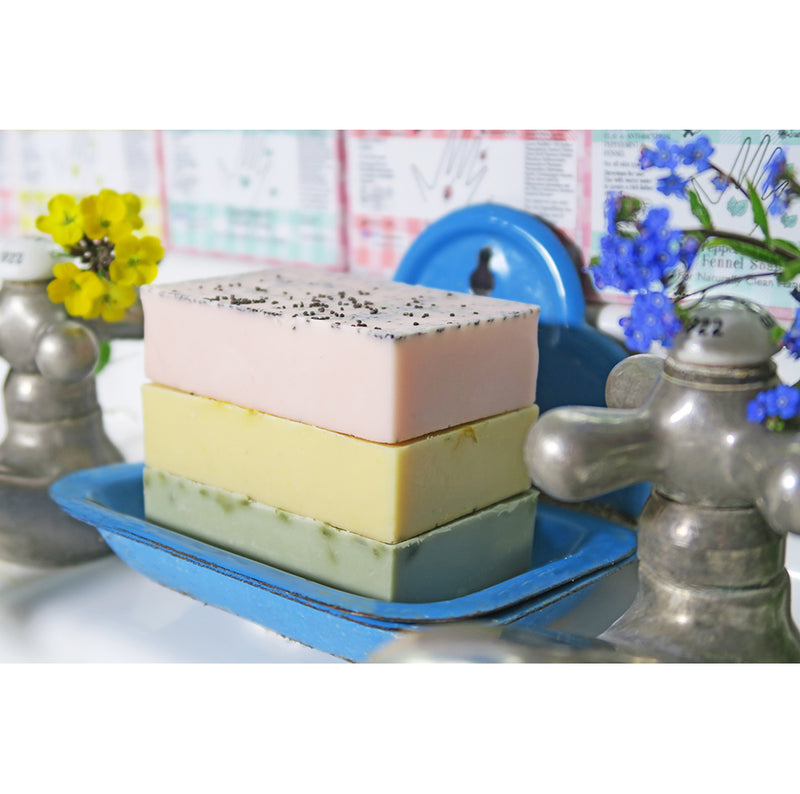 Peppermint and Fennel Soap - Andrea Garland